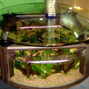 Как отремонтировать аквариум